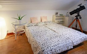 The Cozy Little House